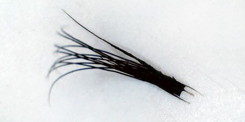 Why You Should Not Apply Lash Extensions At Home by bl blink lashes and eyelash extension supplies