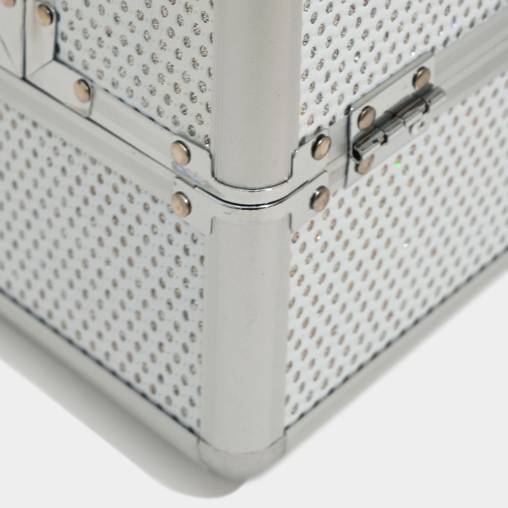 Silver Beauty Case