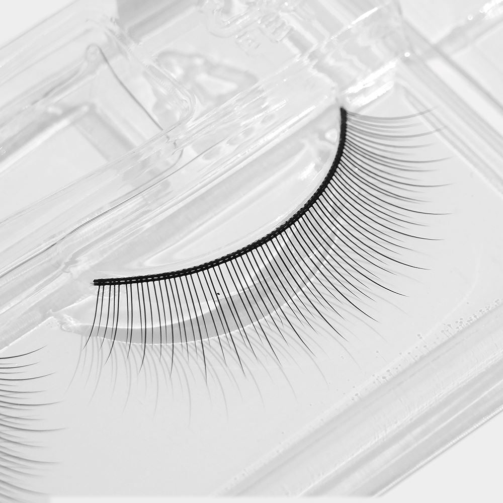 Practice Lash