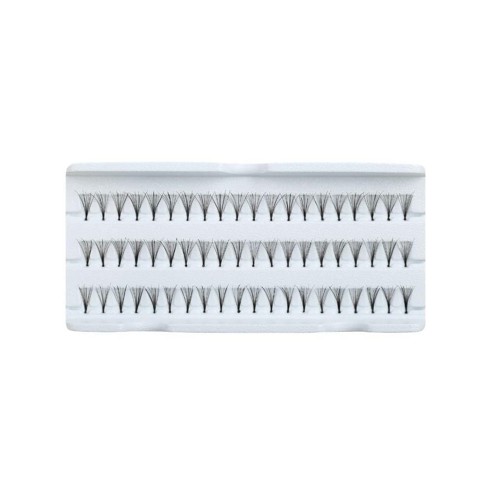 Regular Lash