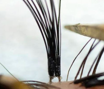 How to prevent the lash stickie